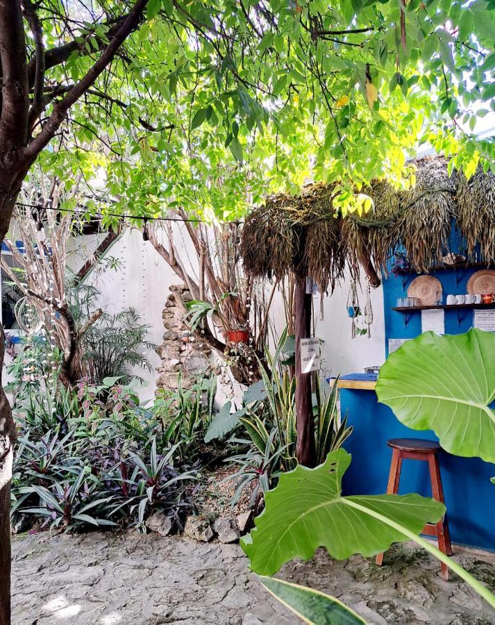Hostal Jardin Mahahual Exterior photo